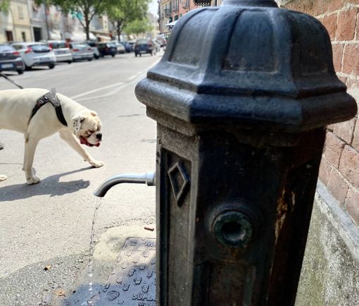 Il futuro dell'acqua: accordi con Università e Politecnico per studi su falde acquifere e sorgenti