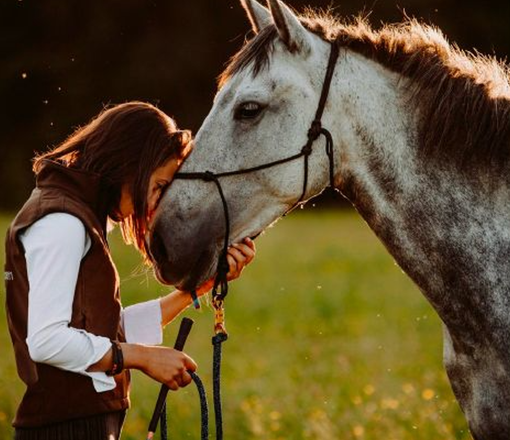“Molto più che andare a cavallo”: a Cuneo una serata dedicata all’equitazione naturale