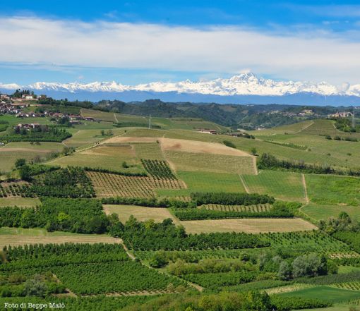 A Treiso un convegno su tradizione e innovazione