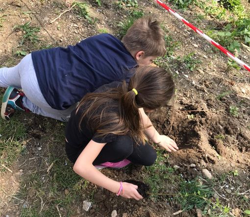 Giornata green a Roccabruna per la Festa degli alberi