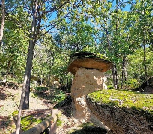 A Villar San Costanzo tutto è pronto per il Ciciufestival A Villar San Costanzo tutto è pronto per il Ciciufestival