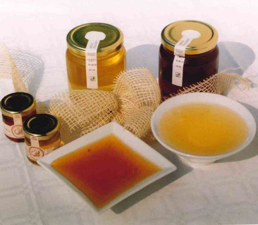 A Macra un laboratorio di degustazione di mieli A Macra un laboratorio di degustazione di mieli