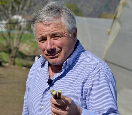 Gli Asparagi Dolci di Revello di Piero Fraire: un’eccellenza stagionale Gli Asparagi Dolci di Revello di Piero Fraire: un’eccellenza stagionale