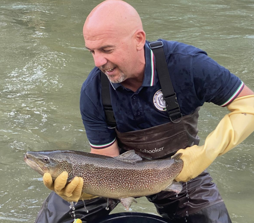 Festa del Parco di Fossano: la Fipsas ripopola il fiume con il lancio di trote marmorata Festa del Parco di Fossano: la Fipsas ripopola il fiume con il lancio di trote marmorata