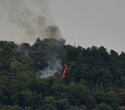 (foto diego bertorello) (foto diego bertorello)