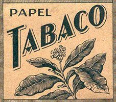 Smettere di fumare nicotina: le alternative naturali al tabacco che funzionano davvero Smettere di fumare nicotina: le alternative naturali al tabacco che funzionano davvero