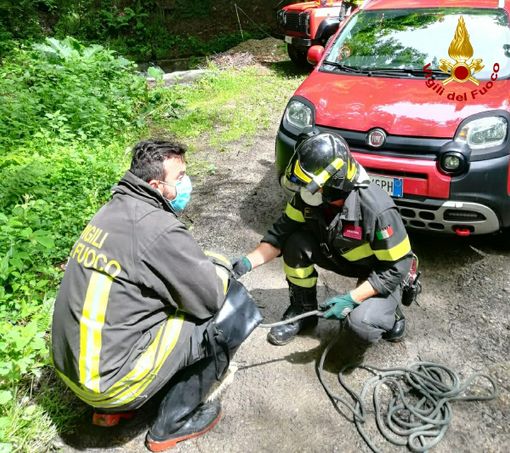 Cane cade in un corso d'acqua a Barge, salvato dalla squadra dei Vigili del Fuoco