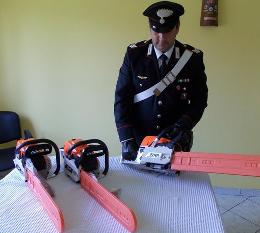 Le motoseghe sequestrate