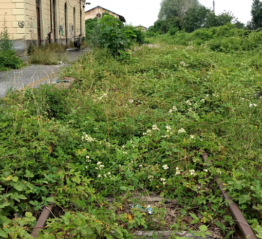 Pesante stato di degrado sulla ex Cuneo-Mondovì, il sindaco Busciglio: "Sempre peggio"
