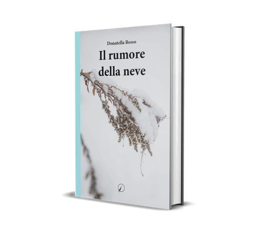 A Fossano si presenta il libro di Donatella Rosso "Il rumore della neve"