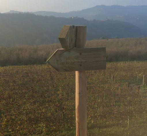 Tre comuni e 17 km tra vigne e centri abitati: domenica a Diano d'Alba si inaugura il "Sentiero del Dolcetto"