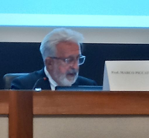 IL professor Marco Piccat IL professor Marco Piccat