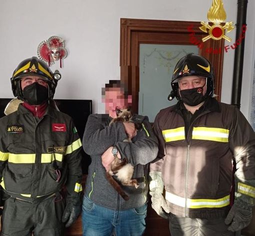 Dronero, gatto incastrato in un termosifone salvato dai Vigili del Fuoco