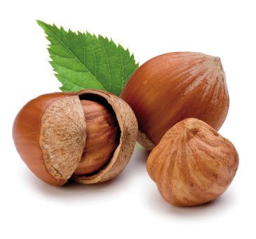 "Denunceremo l'Olanda per lo scippo del nome della nocciola Tonda e gentile" "Denunceremo l'Olanda per lo scippo del nome della nocciola Tonda e gentile"