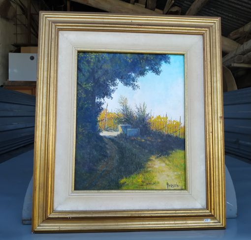 L'opera di Ivo Bruschi