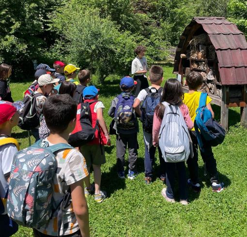 Oltre 8mila studenti al parco fluviale Gesso e Stura per le attività dell'anno scolastico appena concluso Oltre 8mila studenti al parco fluviale Gesso e Stura per le attività dell'anno scolastico appena concluso
