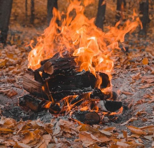 Al Comizio Agrario di Mondovì un incontro su “Abbruciamenti di residui vegetali nei castagneti"