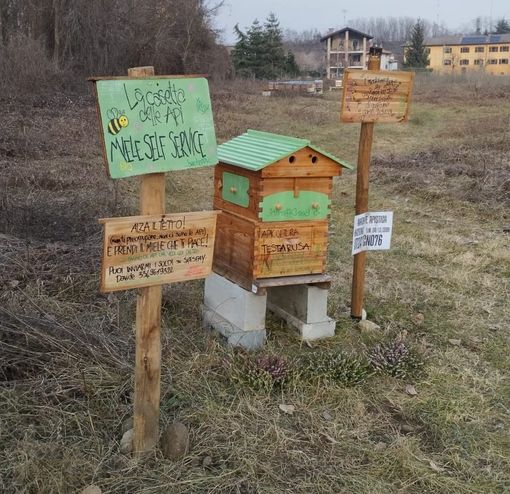 &quot;Miele self service&quot; a Cuneo: quando la fiducia nelle persone fa notizia