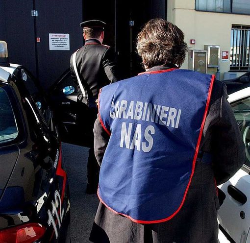 Cuneo: controlli di Carabinieri e NAS in due ristoranti, denunciati i titolari Cuneo: controlli di Carabinieri e NAS in due ristoranti, denunciati i titolari