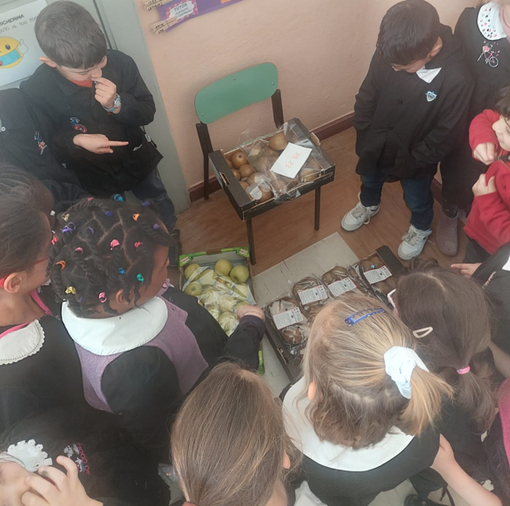 "Frutta e verdura nelle scuole” arriva a Ceva, Lesegno, Mombasiglio e Sale delle Langhe