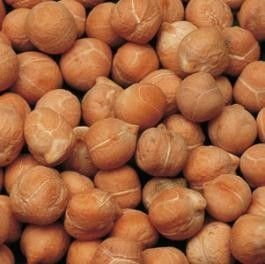 Ceva: al via il progetto “Territorio e cultura a tavola”