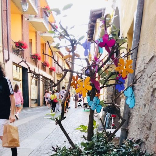 Dronero: una domenica di bellissimi colori Dronero: una domenica di bellissimi colori