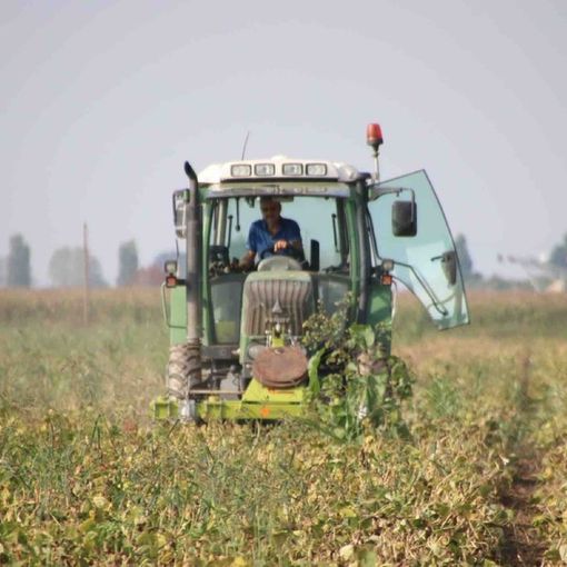 Coldiretti Cuneo: concessa l’assegnazione supplementare del gasolio