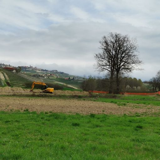 Le ruspe al lavoro in zona Parea nel Comune di Grinzane Cavour