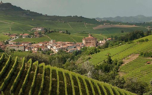 Estate in musica tra Langhe Monferrato Roero