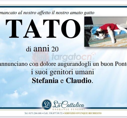 Da Cuneo a &quot;Porta a Porta&quot;: il gatto Tato e i manifesti funebri arrivano nel salotto di Bruno Vespa