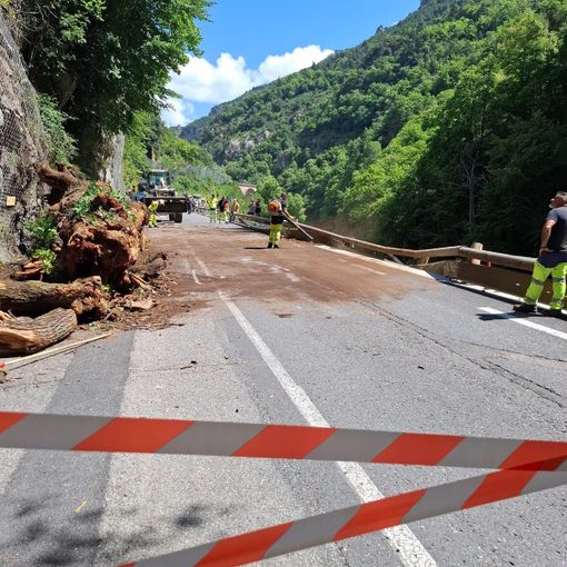 Rimosso l'albero e riaperta a senso unico alternato la statale della valle Roya