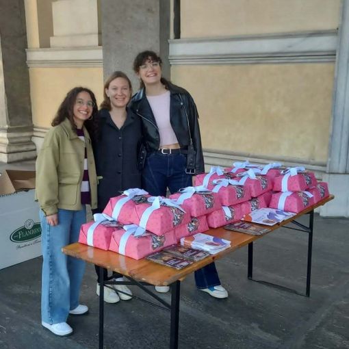 Le Colombe dei Frati Minori tornano nella Diocesi di Alba: raccolta benefica a sostegno del centro carità Sant’Antonio Le Colombe dei Frati Minori tornano nella Diocesi di Alba: raccolta benefica a sostegno del centro carità Sant’Antonio