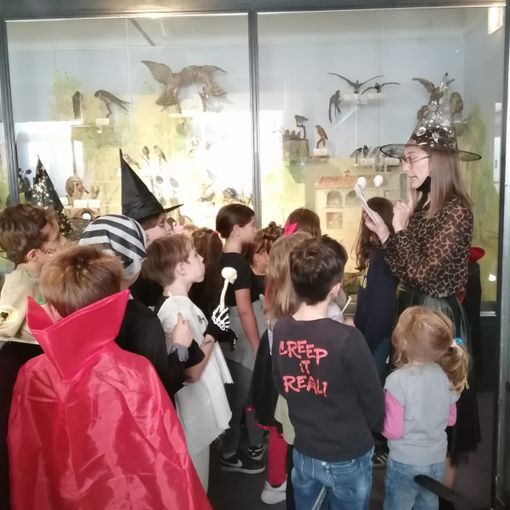 All'Eusebio di Alba lo speciale Halloween del Museo dei Piccoli