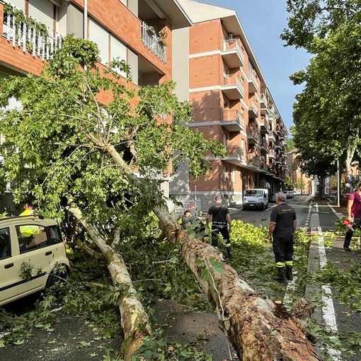 Il mese di luglio si era aperto con la tromba d'aria che investì diverse zone della provincia e Alba in particolare. Le precipitazioni degli ultimi giorni non hanno rimediato al grave gap registrato in Piemonte da inizio anno