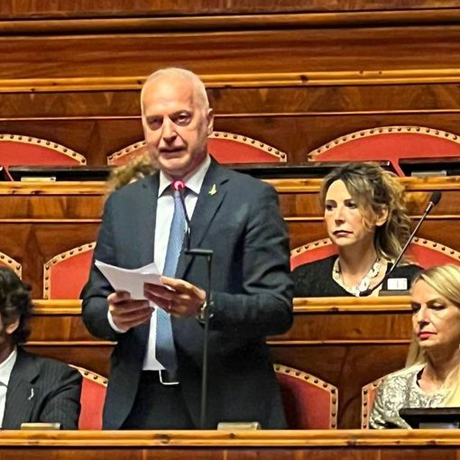Giorgio Maria Bergesio