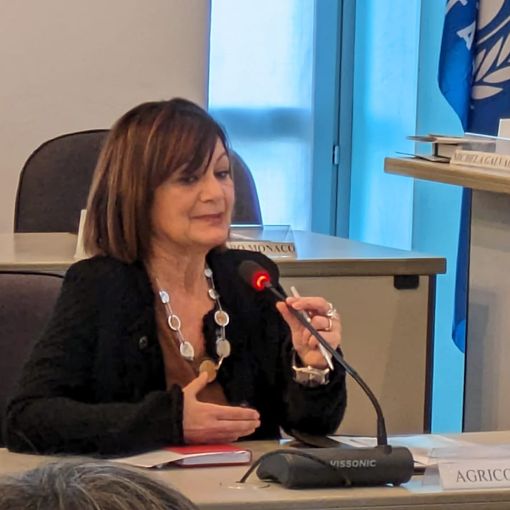 Alcune immagini dalla seduta di Consiglio in corso a Borgo San Dalmazzo