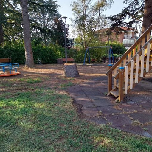 Comuneroero: &quot;L’amministrazione  di Canale in pochi giorni abbatte  parte dei cedri del giardino  di via Beppe Fenoglio&quot;