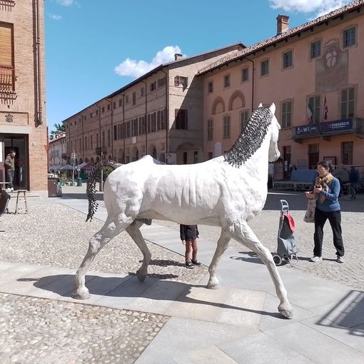 Il cavallo bianco di Napoleone a Cherasco
