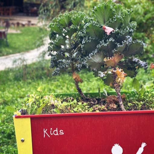 “SchoolFood4Change”: Cuneo al lavoro per una ristorazione scolastica più salutare e sostenibile