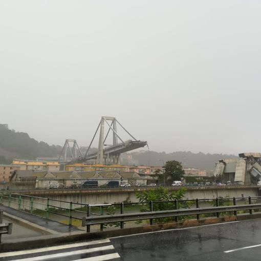 Il crollo del ponte Morandi