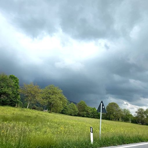 IL METEO / Rovesci e temporali anche oggi mentre migliora nel weekend. A inizio settimana  nuova fase perturbata