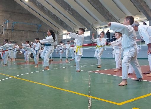 Stage di karate a Moretta nella palestra delle scuole medie