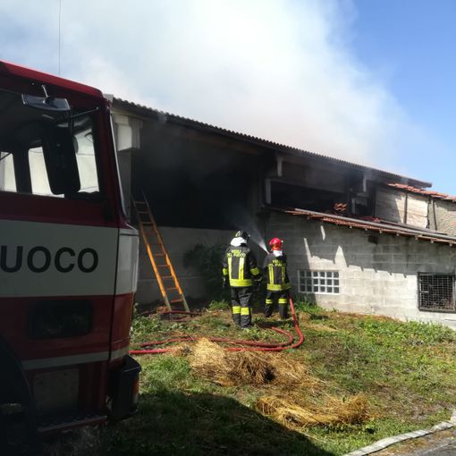 Foto di repertorio