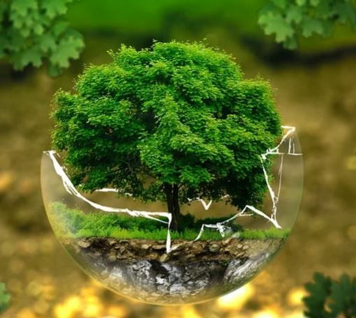 Ad Alba focus sulla comunicazione ambientale con la 21esima edizione del Premio AICA 2024