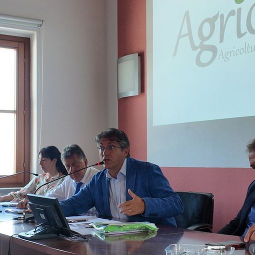 Manta, al Centro ricerche Frutticoltura la riunione dei soci di Fondazione Agrion: bilancio in equilibrio