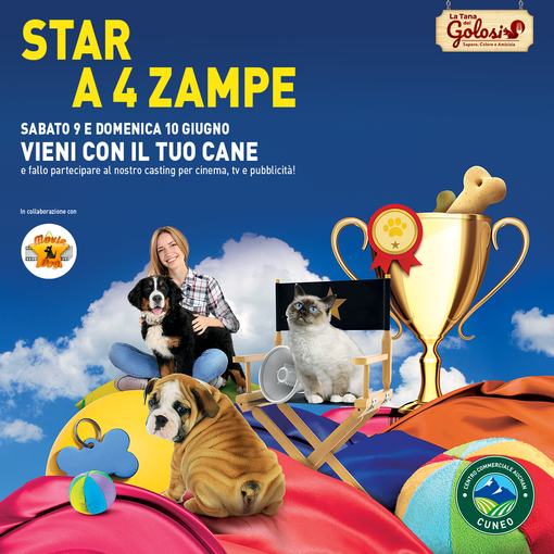 Star a 4 zampe: casting per animali al Centro Commerciale Auchan Cuneo Star a 4 zampe: casting per animali al Centro Commerciale Auchan Cuneo