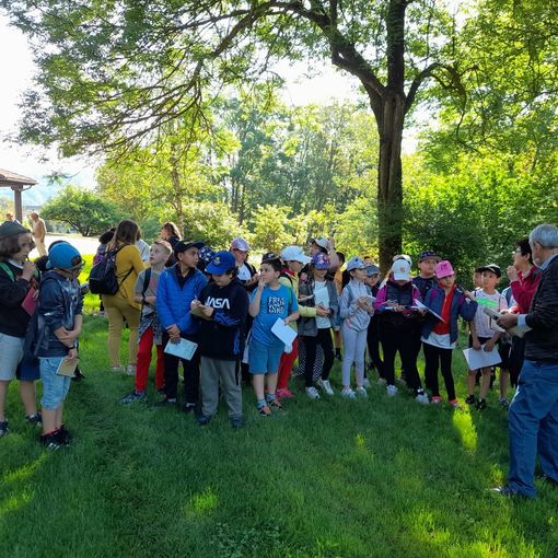 Le classi quarte della primaria di Ceva in visita “All’Alveare”