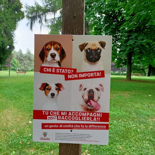 Cuneo, deiezioni canine: nuovi controlli e campagna di sensibilizzazione