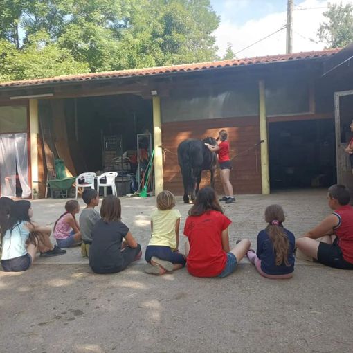 Roccabruna: all'allevamento Mérens de la Rocha un particolare campo estivo Roccabruna: all'allevamento Mérens de la Rocha un particolare campo estivo