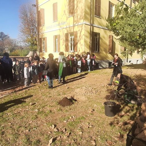 Una mattinata di festa a Spinetta, dove i bambini della Primaria hanno piantato un nuovo albero